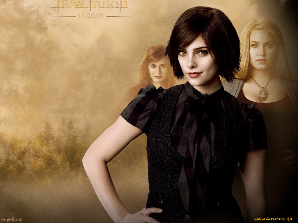 , , the, twilight, saga, new, moon
